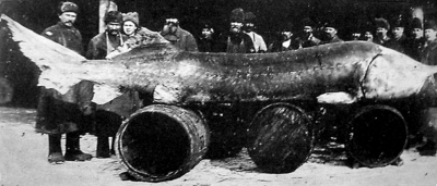О чем поведал старый крючок